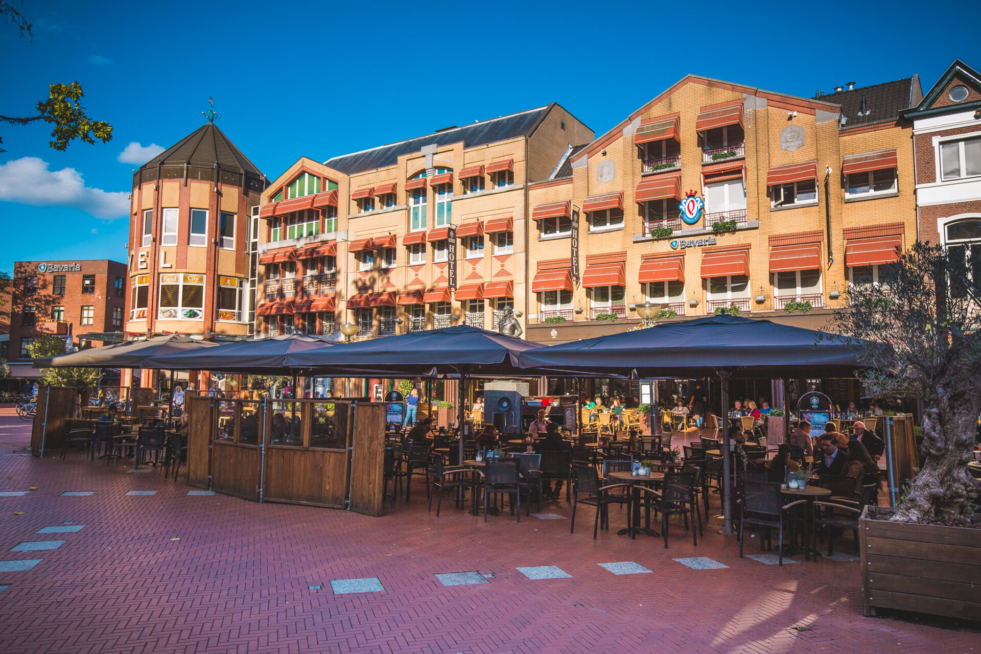 Zelfstandig werkend kok